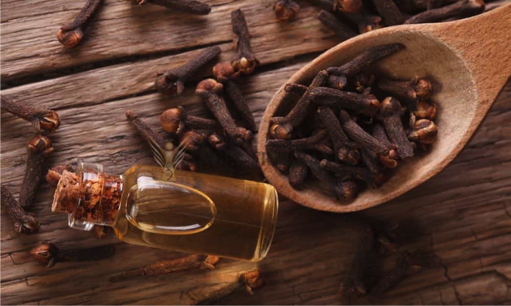Buy Clove Bud Aromatherapy Oil
