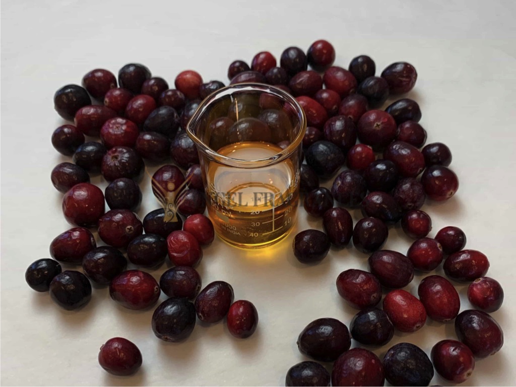 روغن ضروری زغال اخته را بخرید