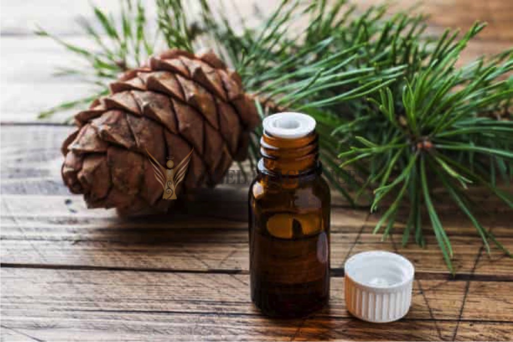 Pure & Organic Cedarwood Himalayan Oil