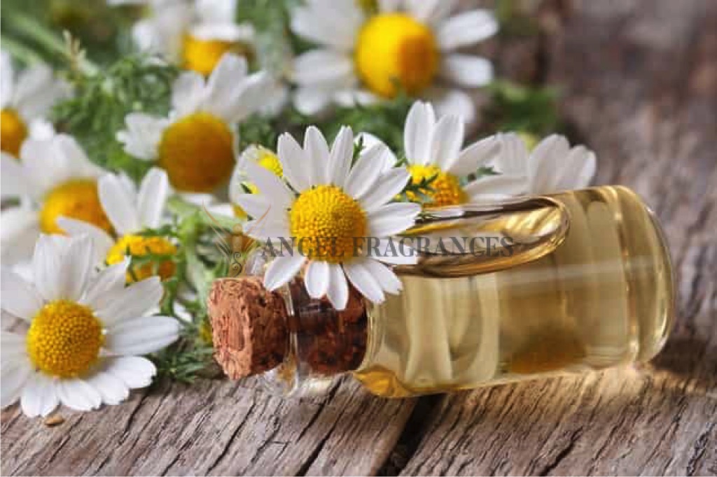 Pure & Organic Chamomile German Oil