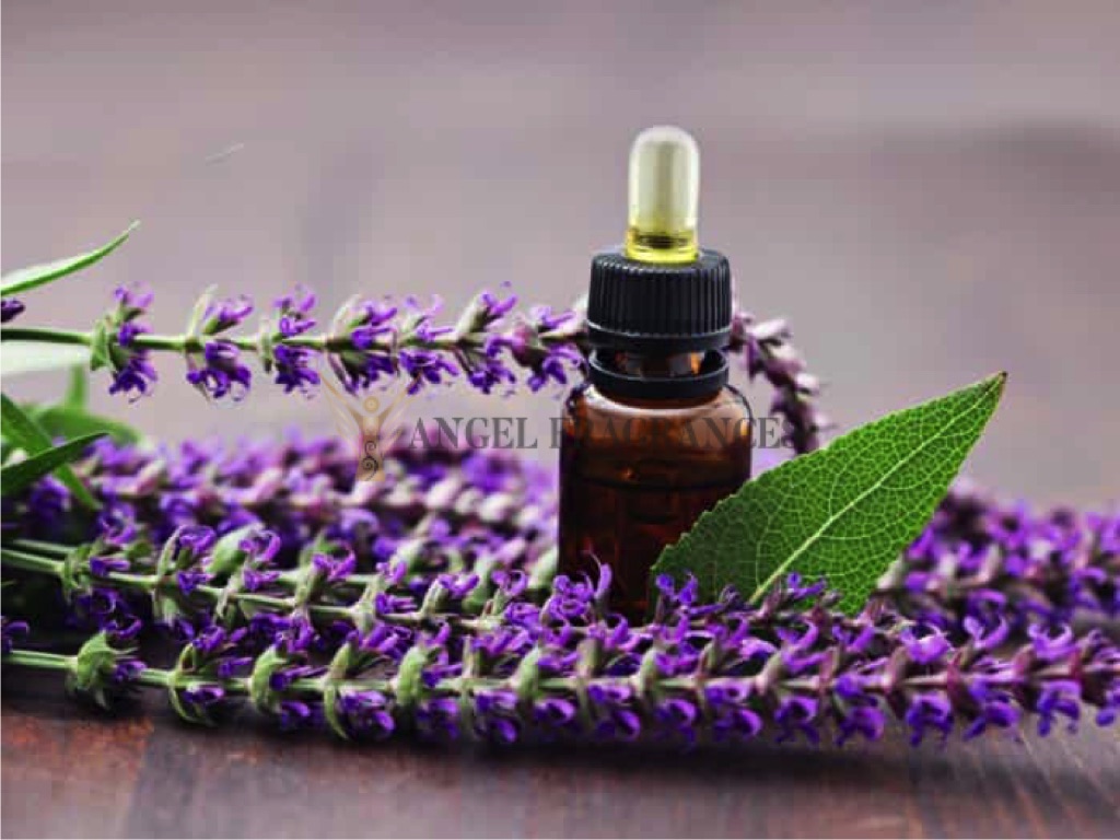 روغن مریم گلی خالص و ارگانیک