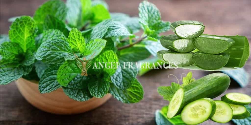 خرید کنید روغن عطر آلوئه ورا و خیار