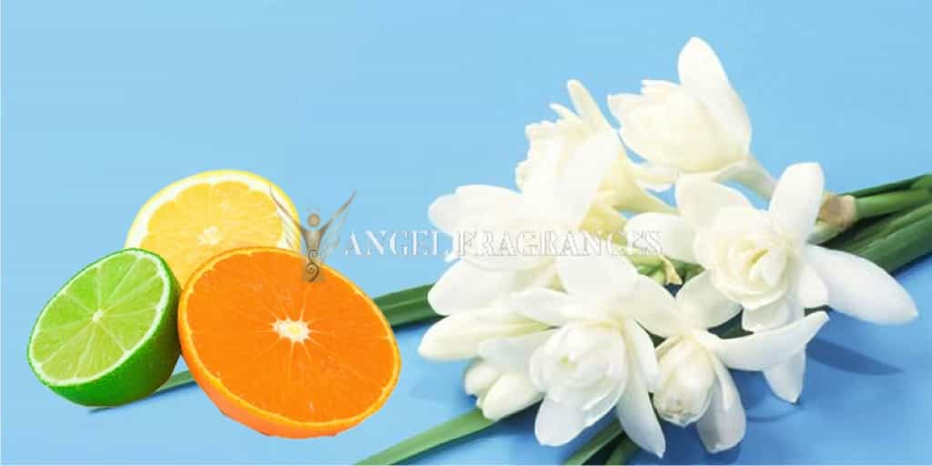 يشتري تشي بيلا دونا زيت العطر