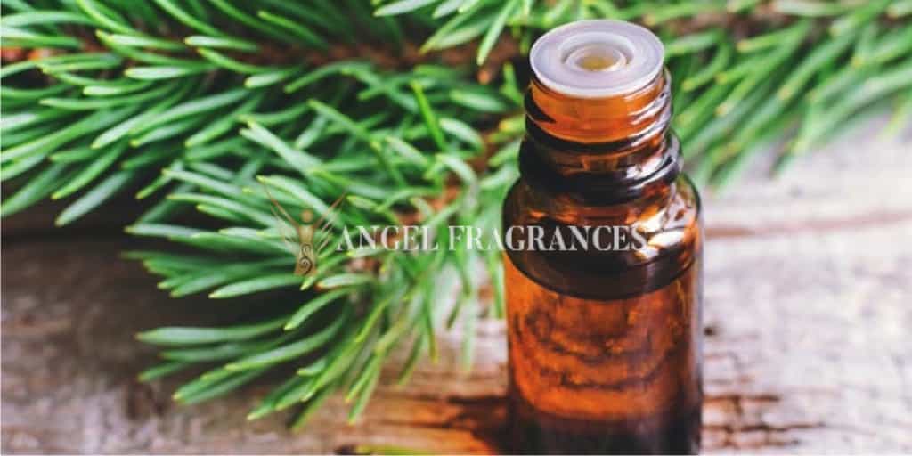 Buy Applewood Fir Needle Fragrance Oil