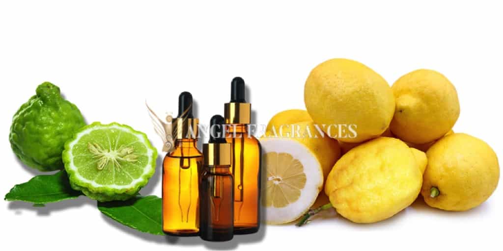 Buy Giggles Fragrance Oil