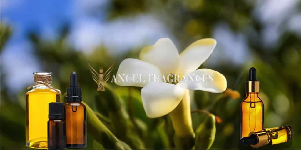 خرید کنید روغن معطر گل هاوایی