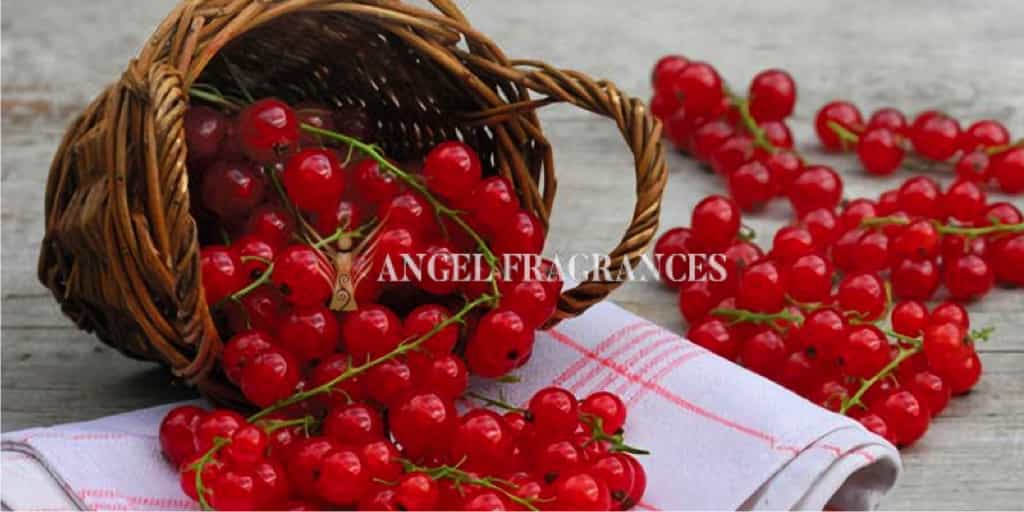 يشتري زيت العطر الكشمش الأحمر وبلاب