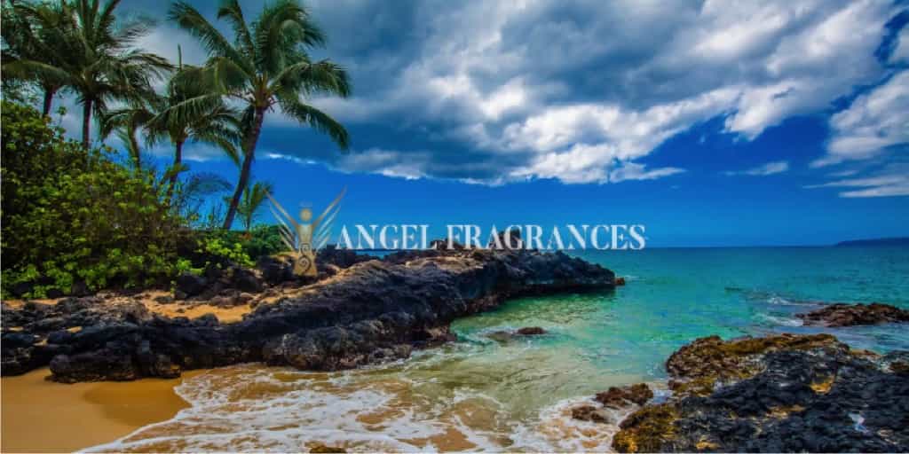 Buy Weekend in Maui Fragrance Oil