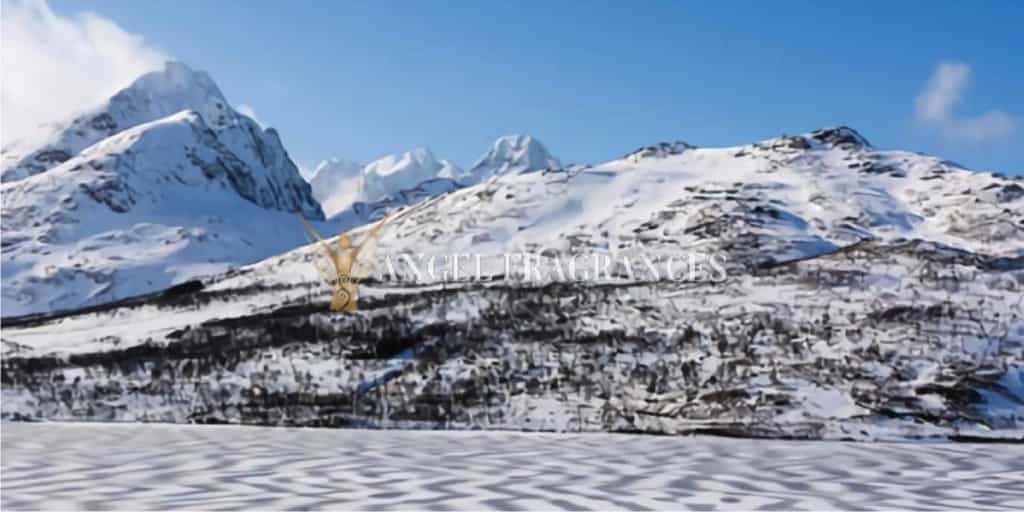 Buy Frosted Peak Tops Fragrance Oil